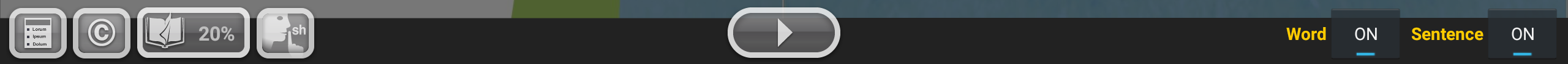 example of the book player controls