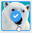 example of a selected avatar