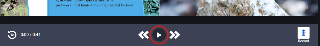 the Play button