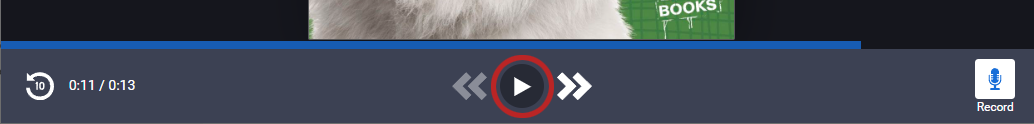 the play button in the book reader
